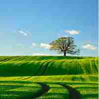 快‌速​cdn节‌点​软﻿件‌怎‍么​样‍